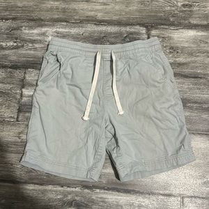 Arizona Chache Blue Shorts